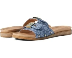 Dr. Scholl's Originalist