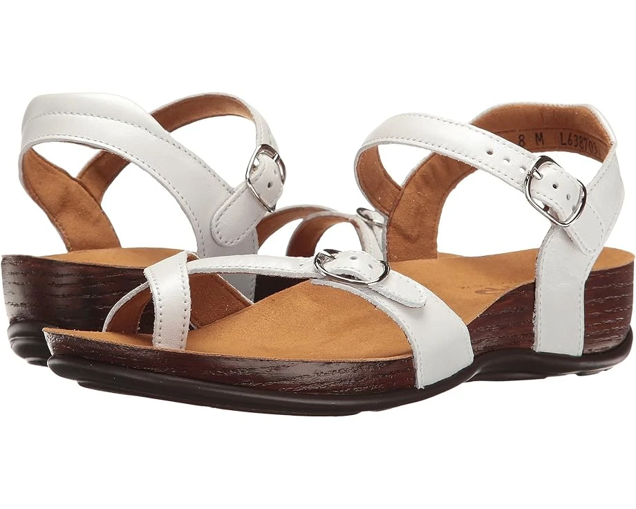 SAS Pampa 1 SAS Pampa